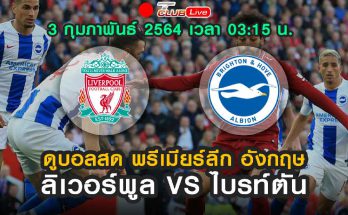 ดูบอลสด ลิเวอร์พูล vs ไบรท์ตัน