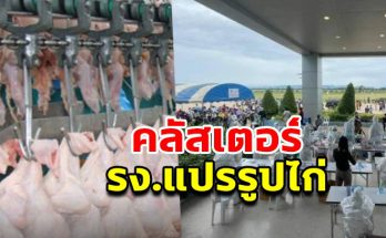 คลัสเตอร์โรงงานแปรรูปไก่