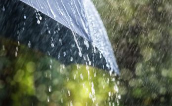 พยากรณ์อากาศวันนี้" ทั่วประเทศมีฝนฟ้าคะนอง กทม. ฝนเยอะ ตกหนักบางพื้นที่